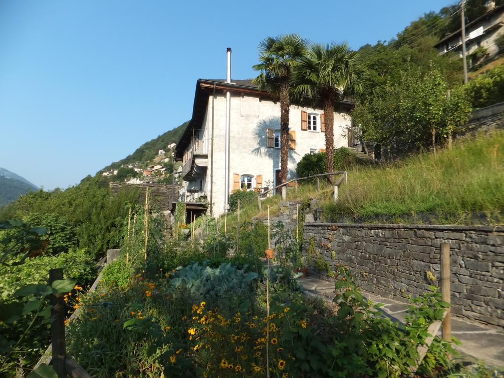Appartement Casa Del Sarto à Intragna Extérieur photo